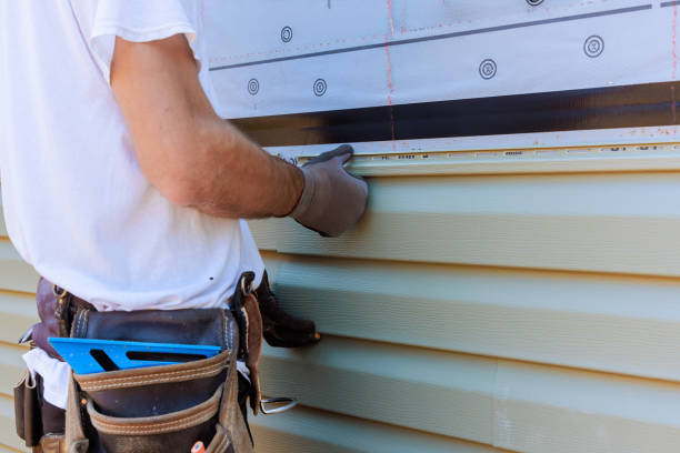 Best Custom Trim and Detailing for Siding  in Milan, MO
